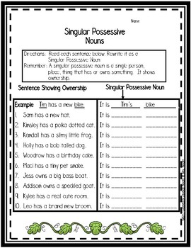 singular possessive noun worksheets by janeice wright tpt