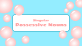 Singular Possessive Nouns Lesson