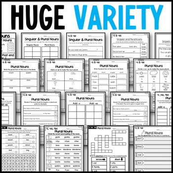 singular and plural noun worksheets two levels for differentiation