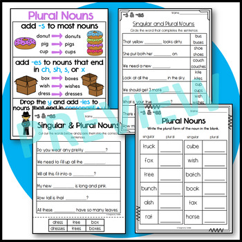 singular and plural noun worksheets by designed by danielle tpt