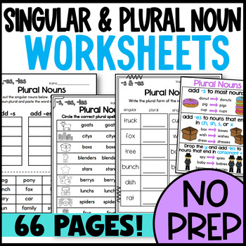 Preview of Singular and Plural Noun Worksheets: Plurals S ES & IES Regular Suffixes Poster