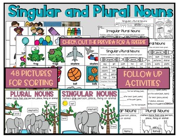 Preview of Singular and Plural Nouns