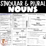 Singular and Plural Nouns | 1st Grade - 3rd Grade