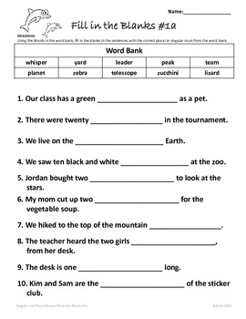 singular and plural nouns 2nd 3rd grade common core differentiated worksheets