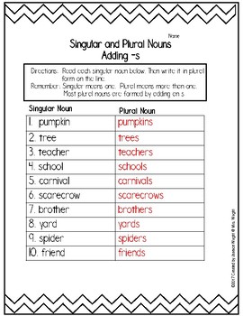 Singular and Plural Nouns by Janeice Wright | Teachers Pay Teachers