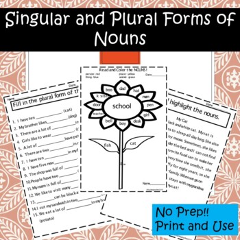 Preview of Singular and Plural Nouns S, ES, IES Worksheets