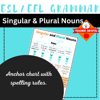 Preview of Singular and Plural Nouns Anchor Chart