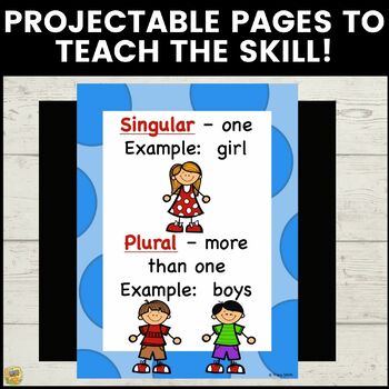 singular and plural nouns easy to use activities grades