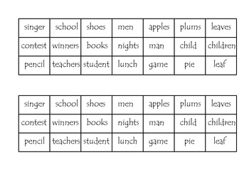 Singular and Plural Nouns Flip Book by iTeach 2nd | TpT