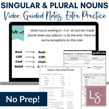 Preview of Singular and Plural Nouns Grammar Video Lessons and Worksheets, 5th Grade