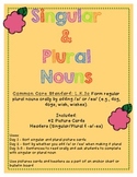 Singular and Plural Nouns - L.K.1c