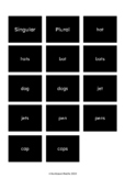 Singular and Plural Nouns - Montessori sorting cards
