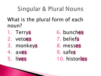 Singular and Plural Nouns PowerPoint Houghton Mifflin 8 by Melissa Slicker