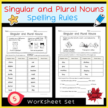 Preview of Singular and Plural Nouns Spelling Rules Worksheet Set Free Download