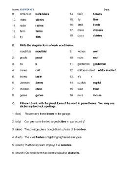 singular and plural nouns handout worksheet and answer