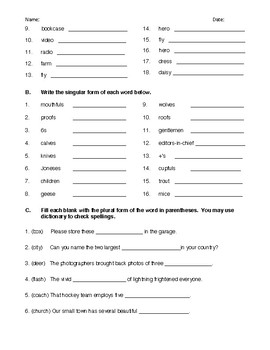 singular and plural nouns handout worksheet and answer key tpt