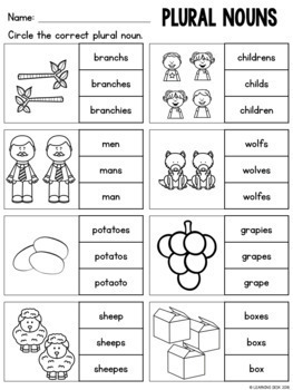 singular plural nouns worksheets first and second grade by learning desk