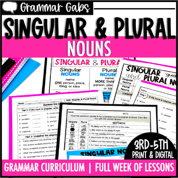 Preview of Singular and Plural Nouns Worksheets and Activities 