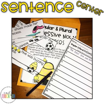 Singular and Plural Possessive Noun Activities by Emily Education