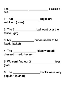 Singular and Plural Possessive Quiz/ Worksheet/ Test | TpT