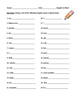 plurals rules worksheet and detailed answer key by debbie s den