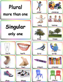 Singular and Plural, cards and worksheets
