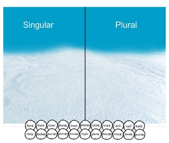 Preview of Singular or Plural Nouns Sort - Winter  Snowball Theme
