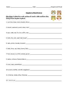 singular and plural worksheet test or homework assignment with answer key