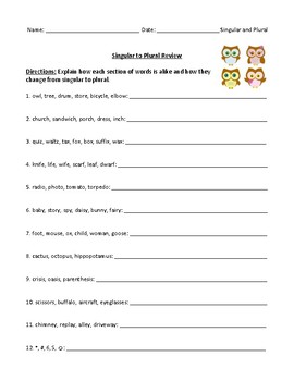 Preview of Singular and Plural: Worksheet, Test, or Homework Assignment with Answer Key