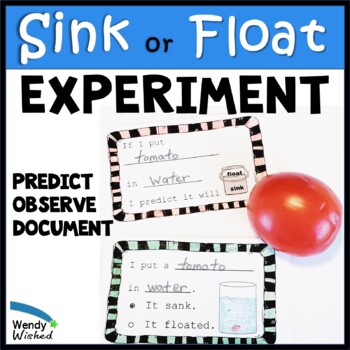 Sink Or Float Science Experiment Journal
