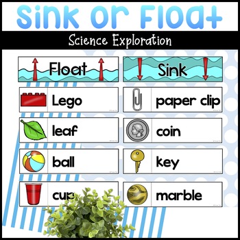 Sink or Float Science Exploration by Turner Tots | TpT