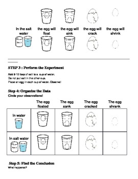 Sinking Or Floating Eggs Experiment Data Sheet