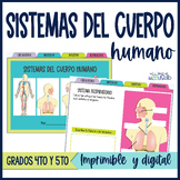 Sistemas del cuerpo humano | Human Body Systems in Spanish