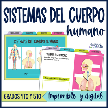Preview of Sistemas del cuerpo humano | Human Body Systems in Spanish