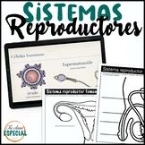 Sistemas reproductores femenino y masculino, Reproductive 