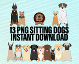 Cute Sitting Dog Clipart - Hand Drawn Breeds, PNG Pet Illu