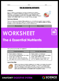 Six Essential Nutrients Worksheet Carbohydrates Fats Prote