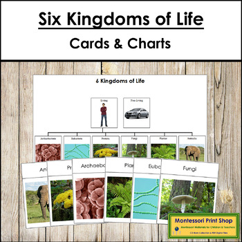 Preview of Six Kingdoms of Life Cards & Charts