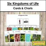 Six Kingdoms of Life Cards & Charts