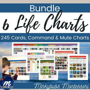 Preview of Six Kingdoms of Life Classification Charts with Cards Large Format Biology