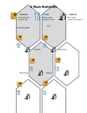 Six Main Nutrient Worksheet