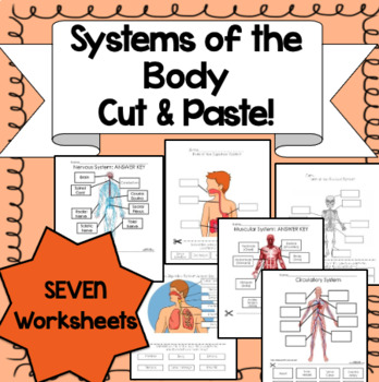 Preview of Systems of the Body BUNDLE {Cut and Paste Activities}