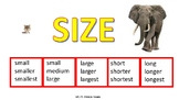 CVI Friendly Size Book- Big Bigger Biggest, Small Smaller 