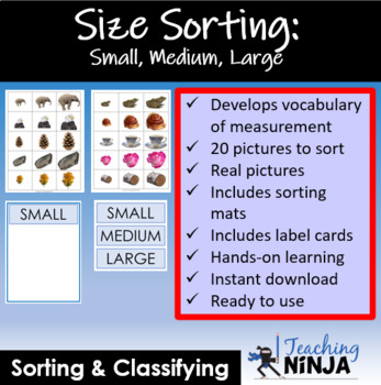 Preview of Size Sorting: Small, Medium, Large - Real Pictures