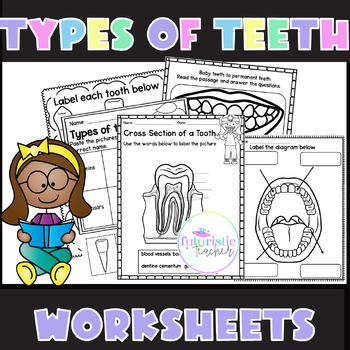 Preview of Types of teeth worksheets