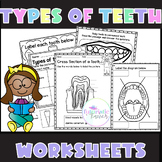 Types of teeth worksheets