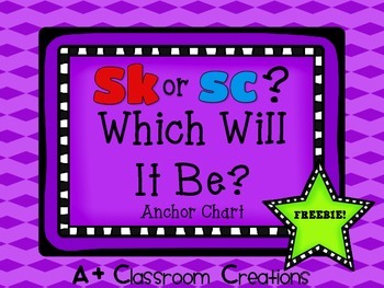 Preview of Sk or Sc?  Which Will It Be?  {Anchor Chart}