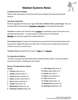 Skeletal System Worksheet by Family 2 Family Learning Resources