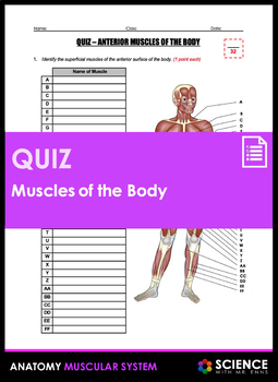 Smooth Muscle Quiz Anatomy