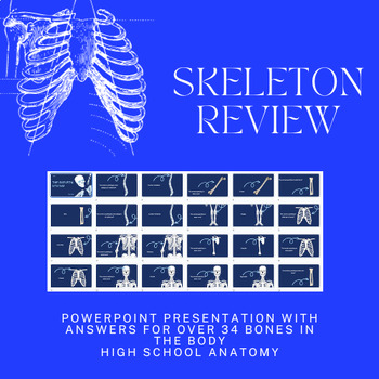 Preview of Skeletal BONE Review ANATOMY